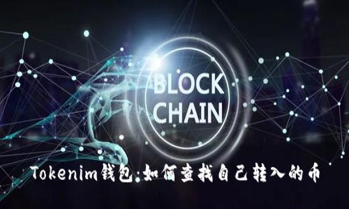 Tokenim钱包：如何查找自己转入的币