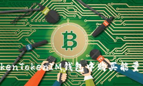 如何在TokenTokenIM钱包中购买能量：详细指南