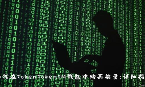 如何在TokenTokenIM钱包中购买能量：详细指南