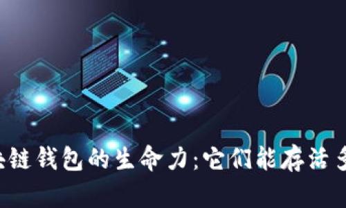 区块链钱包的生命力：它们能存活多久？