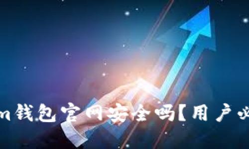 Tokenim钱包官网安全吗？用户必看指南