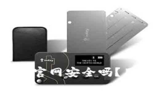 Tokenim钱包官网安全吗？用户必看指南