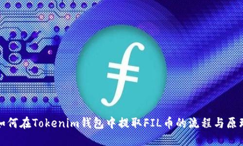 如何在Tokenim钱包中提取FIL币的流程与原理