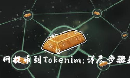 DOT从火币网提币到Tokenim：详尽步骤和注意事项
