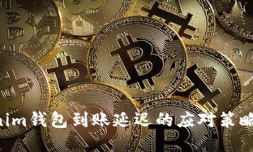 tokentokenim钱包到账延迟的应对策略与解决方法
