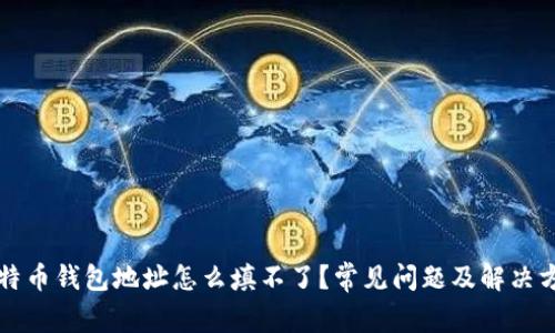 比特币钱包地址怎么填不了？常见问题及解决方案