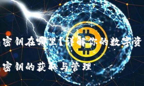 比特币钱包密钥在哪里？详解你的数字资产安全之道

比特币钱包密钥的获取与管理