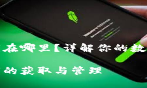 比特币钱包密钥在哪里？详解你的数字资产安全之道

比特币钱包密钥的获取与管理
