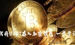 如何将USDT存入加密钱包：一步步详解