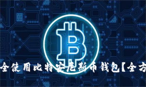 如何安全使用比特安尼斯币钱包？全方位指南