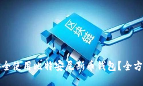 如何安全使用比特安尼斯币钱包？全方位指南