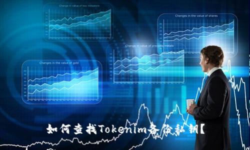 如何查找Tokenim备份私钥？