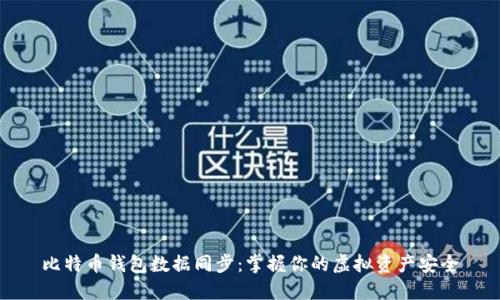 比特币钱包数据同步：掌握你的虚拟资产安全
