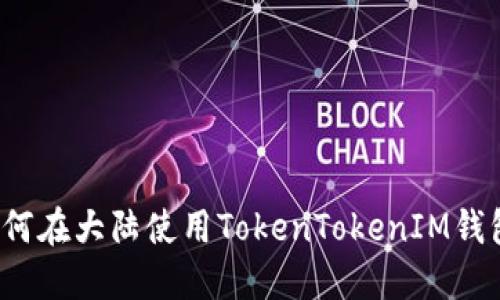 如何在大陆使用TokenTokenIM钱包？
