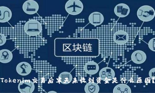 Tokenim交易后半天未收到资金是什么原因？