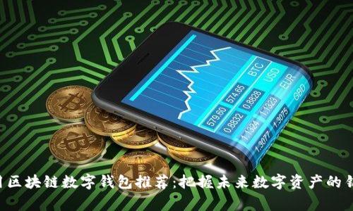 常用区块链数字钱包推荐：把握未来数字资产的钥匙！