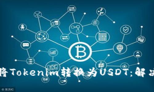 如何成功将Tokenim转换为USDT：解决常见问题