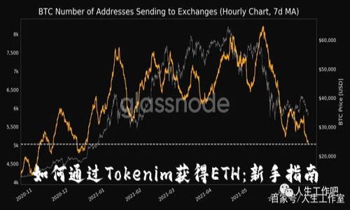 如何通过Tokenim获得ETH：新手指南