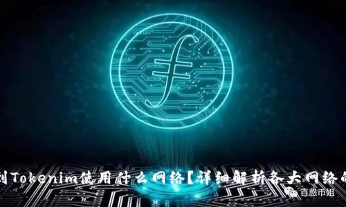 提币到Tokenim使用什么网络？详细解析各大网络的特点