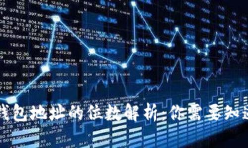虚拟币钱包地址的位数解析：你需要知道的一切