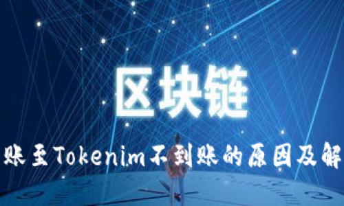 火币转账至Tokenim不到账的原因及解决方案