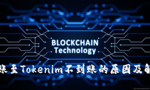 火币转账至Tokenim不到账的原因及解决方案