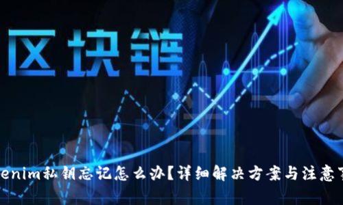 Tokenim私钥忘记怎么办？详细解决方案与注意事项