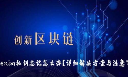 Tokenim私钥忘记怎么办？详细解决方案与注意事项