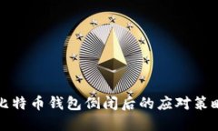 比特币钱包倒闭后的应对策略