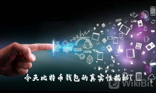 今天比特币钱包的真实性揭秘！