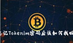 忘记Tokenim密码后该如何找回？