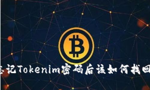 忘记Tokenim密码后该如何找回？
