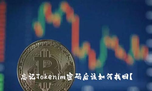 忘记Tokenim密码后该如何找回？