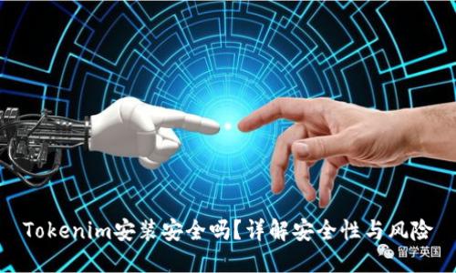 Tokenim安装安全吗？详解安全性与风险