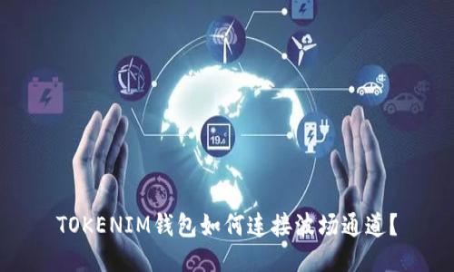 TOKENIM钱包如何连接波场通道？