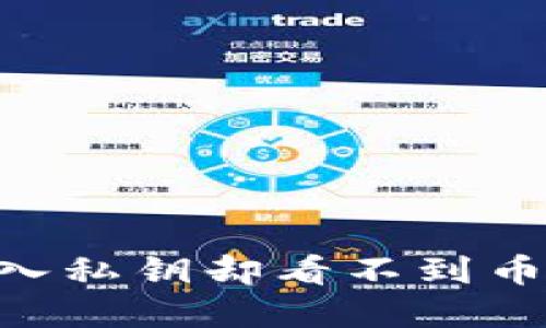 Tokenim导入私钥却看不到币的解决方案