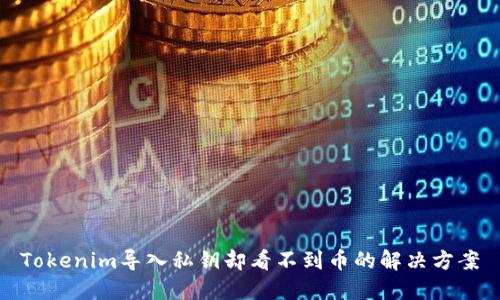 Tokenim导入私钥却看不到币的解决方案