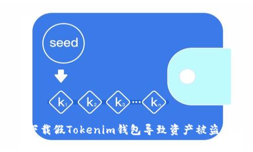 用户警惕：下载假Tokenim钱包导致资产被盗的真实案例