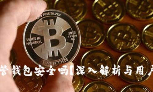 虚拟币托管钱包安全吗？深入解析与用户体验分享
