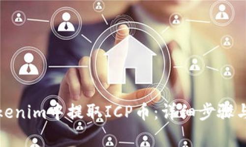 如何在Tokenim中提取ICP币：详细步骤与注意事项