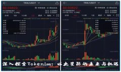 深入探索Tokenim: 以太星际的未来与机遇