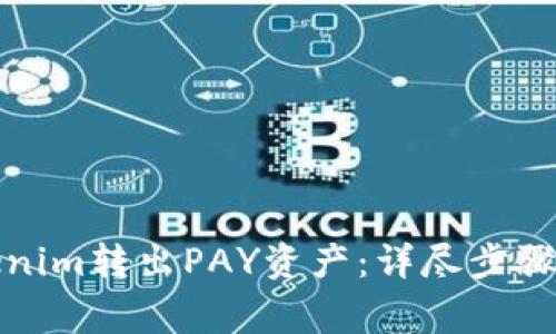 如何从Tokenim转出PAY资产：详尽步骤与注意事项
