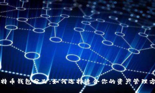 比特币钱包分叉：如何选择适合你的资产管理方式