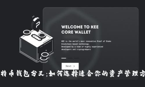 比特币钱包分叉：如何选择适合你的资产管理方式
