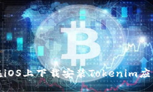 如何在iOS上下载安装Tokenim应用程序