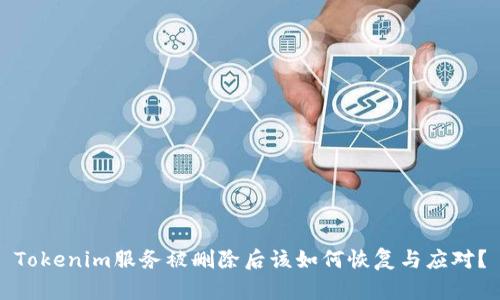 Tokenim服务被删除后该如何恢复与应对？