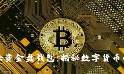 比特币最大资金盘钱包：揭秘数字货币的财富巨头