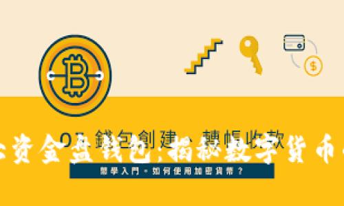 比特币最大资金盘钱包：揭秘数字货币的财富巨头