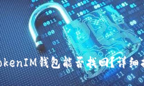 丢失的TokenTokenIM钱包能否找回？详细指南与实用技巧