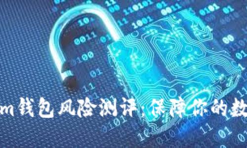 探秘Tokenim钱包风险测评：保障你的数字资产安全